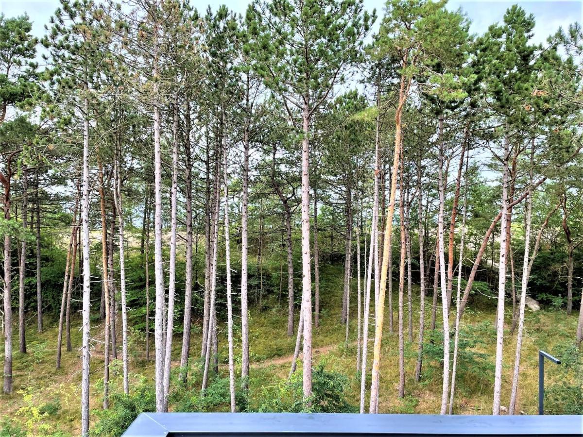 ApartamentyRogowo Com Bagian luar foto